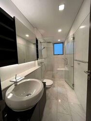 Radiance @ Bukit Timah (D21), Terrace #551954451